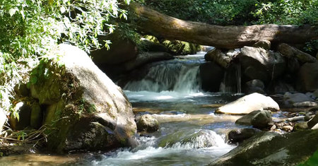 The Hot Springs Water of Chiriqui Volcan in Silla Pando
